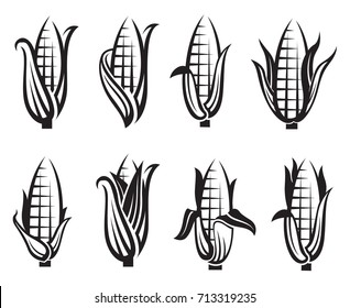 collection of black corn images