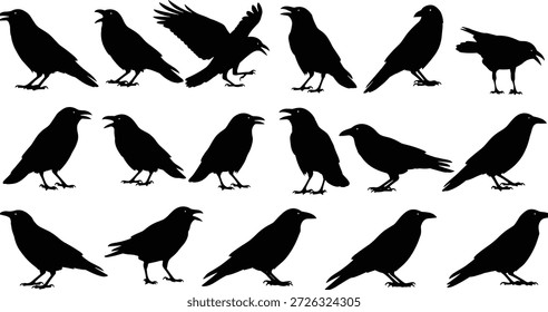 Collection of black crow silhouettes in various poses