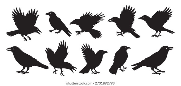Coleção de silhuetas de corvo negro Várias poses