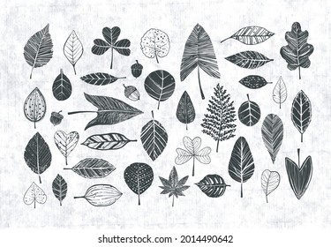 Collection of black doodle leaves on old paper background.