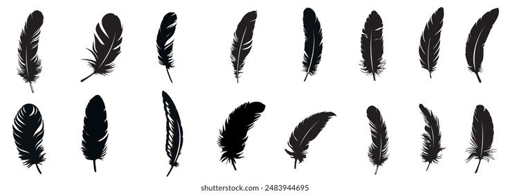 Kollektion von Black Feather Silhouetten. Hand Zeichnung Vintage Art realistische Federkiel. Vektorillustration mit verschiedenen Feder-Formen für dekoratives Design, Natur Themen