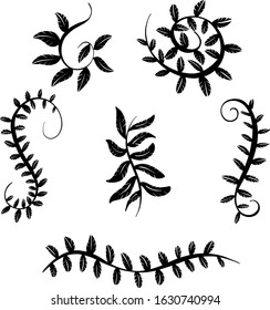 Collection of Black Floral Decorative Borders and Frames For Logos and Design