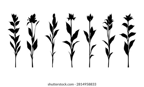 Collection of black flower silhouettes showcasing different shapes and sizes for artistic and decorative purposes.