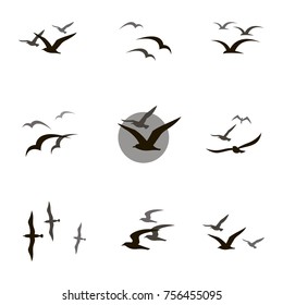 collection of black flying seagull silhouettes on white background