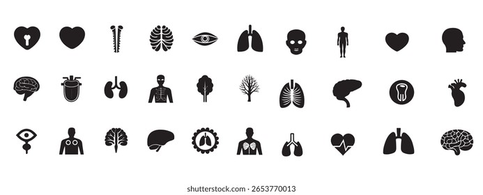 Coleção de ícones pretos de órgãos humanos e partes do corpo na ilustração