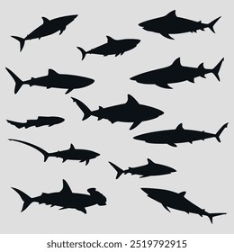  A collection of black icons of different types of sharks. Dangerous sharks. Vector on a gray background