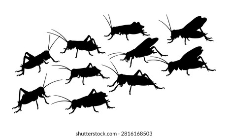 Collection of black insect silhouettes including ants, beetles, and flies in various flying positions on a plain background.