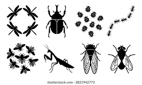 Collection of Black Insect Silhouettes Including Dragonflies, Beetle, Ladybugs, Ants, Bees, Praying Mantis, Cicada, and Fly