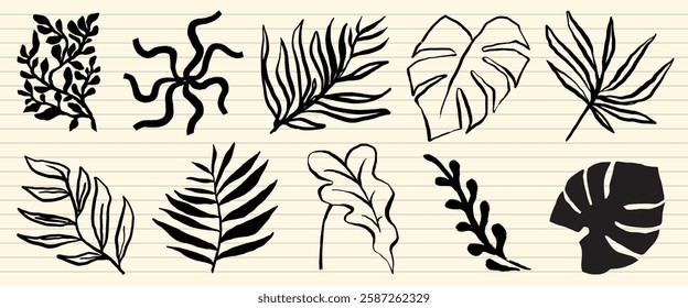 Collection of black leaf illustrations on lined paper. Various leaf shapes and styles. Botanical and nature-themed leaf drawings. Artistic leaf designs. Nature illustrations, isolated vector set.