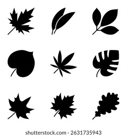 Coleção de silhuetas de folhas negras representando várias espécies de plantas. Ilustração vetorial