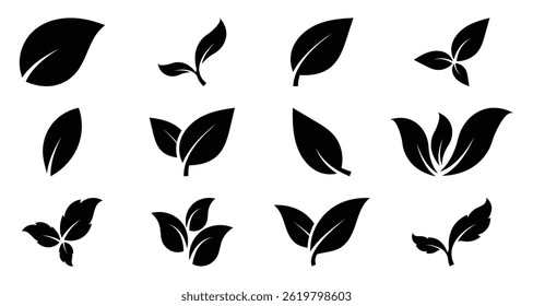 Collection of black leaf vector icons. Leaves from nature for eco logos. Ideal for vegan, bio, and green branding. Eco friendly plant elements. Vector illustration. EPS 10