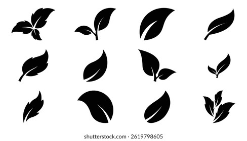 Coleção de ícones de vetor de folha preta. Folhas da natureza para os logotipos ecológicos. Ideal para marcas veganas, biológicas e ecológicas. Elementos vegetais ecológicos. Ilustração vetorial. EPS 10