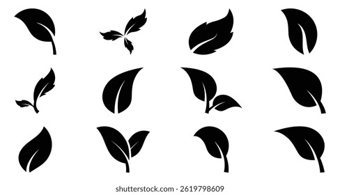 Collection of black leaf vector icons. Leaves from nature for eco logos. Ideal for vegan, bio, and green branding. Eco friendly plant elements. Vector illustration. EPS 10