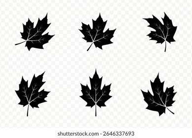 Collection of Black Maple Leaf Illustrations on Transparent Background for Designs