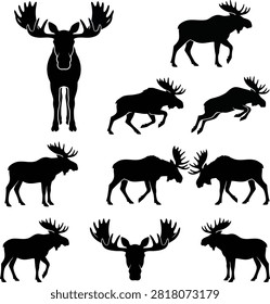 A collection of black moose silhouettes on a white background, showing various poses and angles, including a close-up of a moose head.