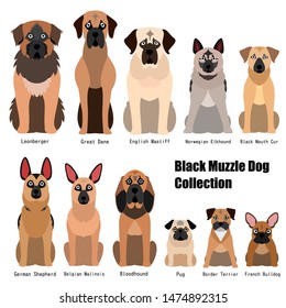 collection of black muzzle dog