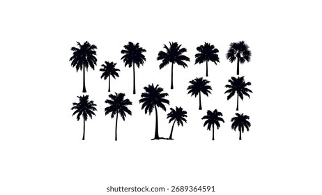 Collection of Black Palm Tree Silhouettes tropical