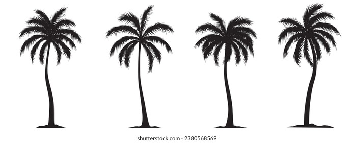 Collection of a black palm trees shapes, silhouettes of an exotic plants. Vector illustration isolated on white background