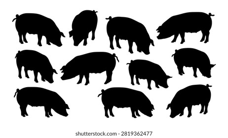 Collection of black pig silhouettes in different postures suitable for farm, animal, or agricultural themes.