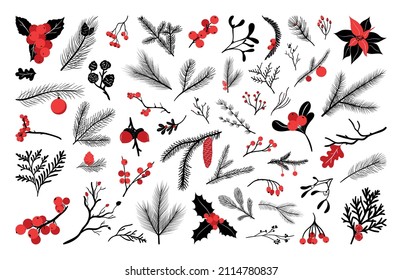 Colección de ramas y bayas de invierno decorativas en negro y rojo. Ilustraciones de Navidad.