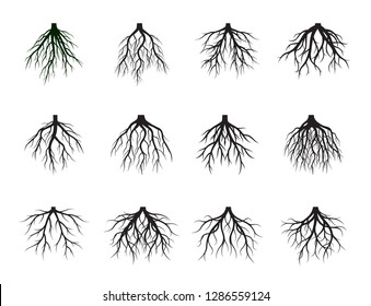 Collection of Black Root Tree. Vector Illustration. Plants and garden.