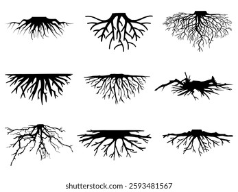 collection black roots silhouettes vector Symbol style and white background. Hand drawn isolated illustrations.