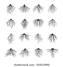 Collection of black Roots. Vector Illustration.