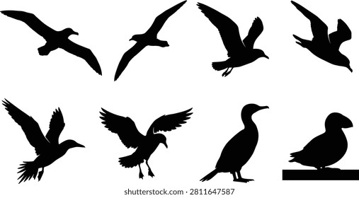 A collection of black seabird silhouettes featuring flying and standing coastal birds isolated on a white background. Ideal for logos, wildlife illustrations, vector graphics, educational materials, stickers, decals, and nature-themed design projects.