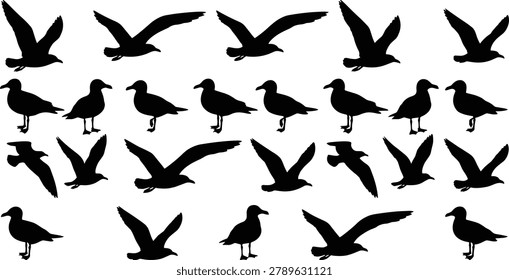 Collection of black seagull silhouettes featuring flying and standing gulls for coastal nature and marine graphic design projects
