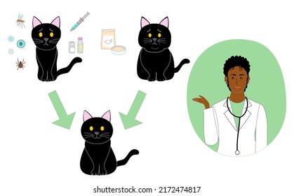 Collection Of A Black Sick, Healthy And Fat Cat Witha Black Veterinarian Woman Expalining Diet Cat Food, Injection, Medicine And Virus.