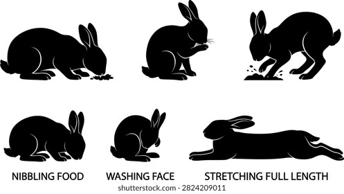 A collection of black silhouette graphics depicting rabbits in different poses including nibbling food washing face and stretching out