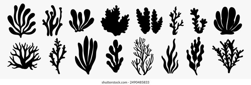 A collection of black silhouette seaweed and corals illustrations in various shapes and sizes. Algae isolated on a white background. Perfect for marine-themed designs, underwater scenes.