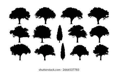 Una colección de árboles de silueta negra, incluyendo abedules, robles y pinos, y salpicaduras de tinta forman una llamativa ilustración de la naturaleza del Vector