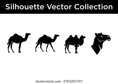 A collection of black silhouette vector illustrations featuring camels in various poses and a close-up of a camel's head.