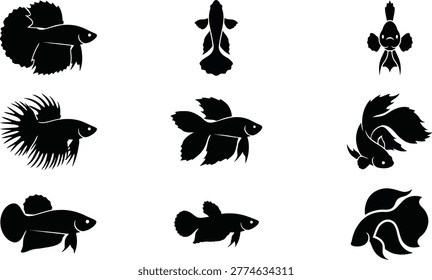 Collection of Black Silhouettes of Betta Fish in Various Poses and Styles Siamese fighting fish aquatic animal