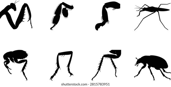 A collection of black silhouettes demonstrating different types of insect legs, appendages, and whole body anatomy modifications. This vector graphic element set is ideal for biological illustrations, school textbooks, and educational science diagrams.A collection of black silhouettes demonstrating different types of insect legs, appendages, and whole body anatomy modifications. This vector graphic element set is ideal for biological illustrations, school textbooks, and educational science diagrams.