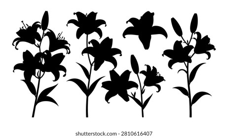 A collection of black silhouettes depicting different flower plants and stems, showcasing natural botanical shapes and structures.