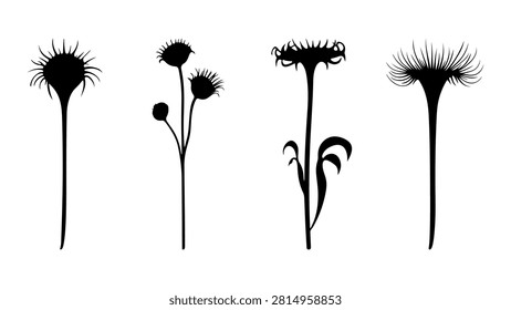 A collection of black silhouettes depicting different flower species with unique shapes and structures, isolated on a plain background.