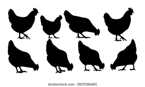Collection of black silhouettes depicting different bird species in flight and resting poses, emphasizing their shapes and postures.
