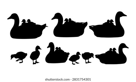 Collection of black silhouettes depicting different duck species in flight, swimming, and resting poses, highlighting diverse bird postures and behaviors.