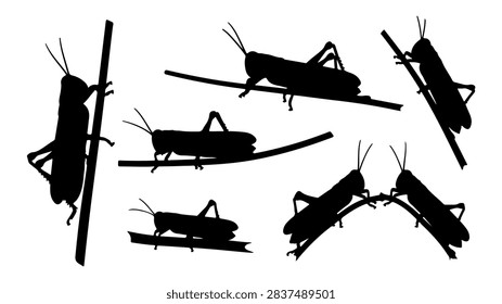 Collection of black silhouettes depicting different military aircraft flying in formation against a plain background.