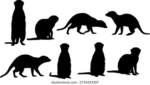 A collection of black silhouettes depicting the evolution of humans and monkeys from a common ancestor