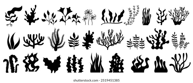 Collection of black silhouettes depicting various types of seaweed and coral. Ideal for illustrating underwater marine environments, ocean reef settings, and sea life.