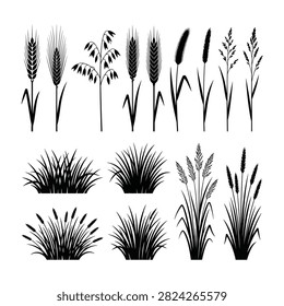 A collection of black silhouettes depicting various wild grasses, wheat stalks, and reeds isolated on a white background. Ideal for nature design projects.