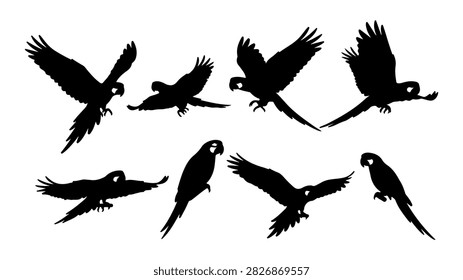 A collection of black silhouettes of different bird species flying together in the sky, showcasing their wingspan and flight posture.