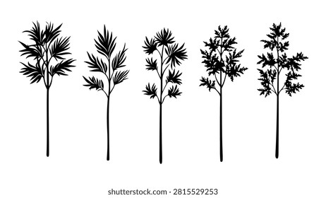 Collection of black silhouettes of different tropical palm trees, showcasing diverse leaf shapes and trunk structures against a plain background.
