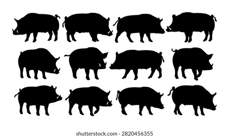 Collection of black silhouettes of different wild boar species in a row, showcasing diverse sizes and shapes of these animals.