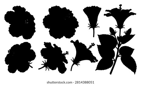 Collection of black silhouettes featuring diverse flowers and plants, ideal for botanical, floral, and nature-themed projects and designs.