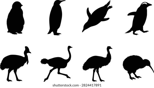 Collection of Black Silhouettes Featuring Flightless Birds Including Penguins, Ostriches, and Kiwis