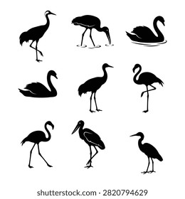 A collection of black silhouettes featuring various water birds, including flamingos, swans, and cranes, isolated on a white background, perfect for nature-themed graphic design projects and wildlife illustrations.